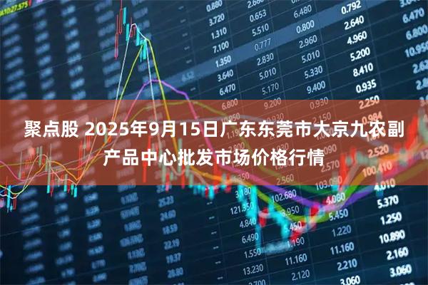 聚点股 2025年9月15日广东东莞市大京九农副产品中心批发市场价格行情