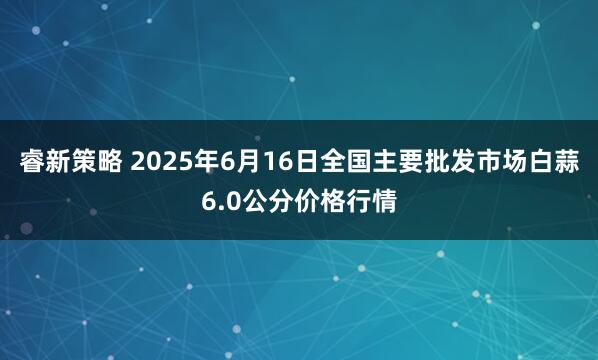 睿新策略 2025年6月16日全国主要批发市场白蒜6.0公分价格行情