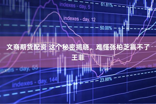 文商期货配资 这个秘密揭晓，难怪张柏芝赢不了王菲