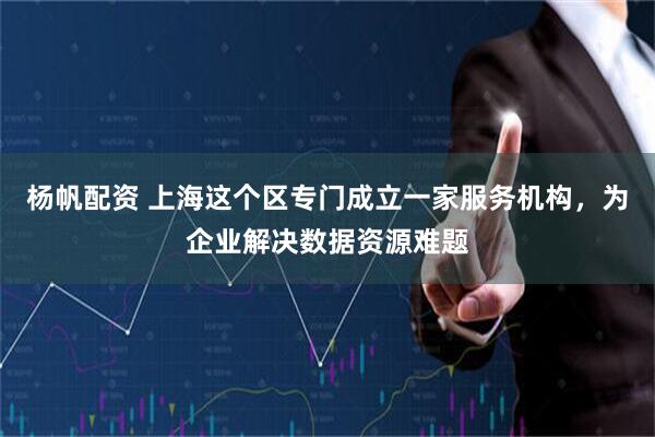 杨帆配资 上海这个区专门成立一家服务机构，为企业解决数据资源难题