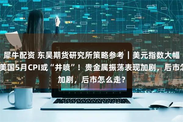 犀牛配资 东吴期货研究所策略参考｜美元指数大幅调整，美国5月CPI或“井喷”！贵金属振荡表现加剧，后市怎么走？