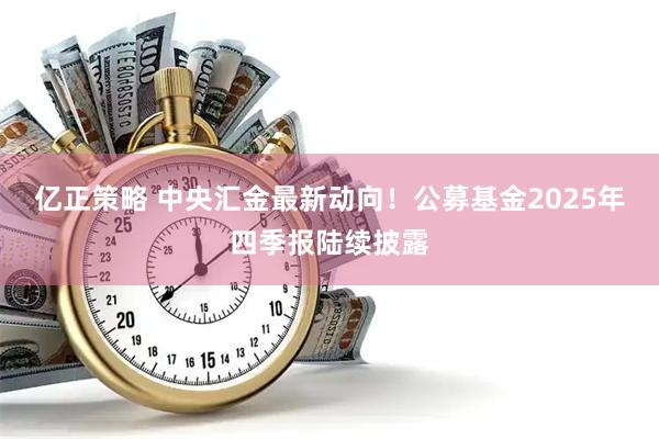 亿正策略 中央汇金最新动向！公募基金2025年四季报陆续披露