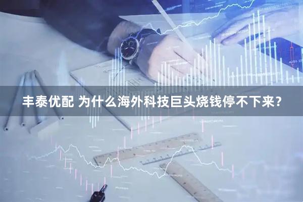 丰泰优配 为什么海外科技巨头烧钱停不下来？