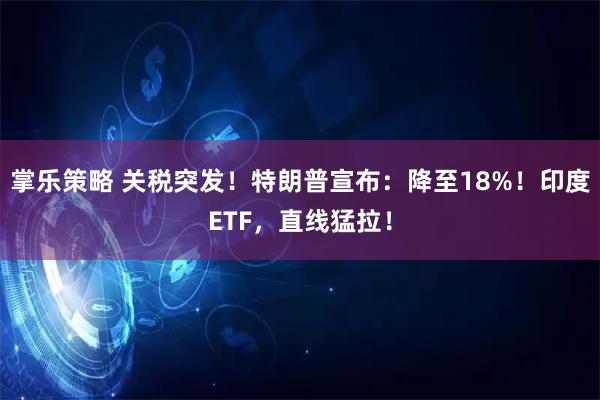 掌乐策略 关税突发！特朗普宣布：降至18%！印度ETF，直线猛拉！
